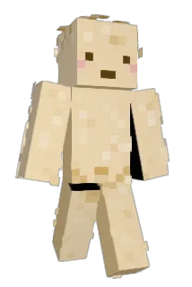 Funnelcake14 Minecraft avatar full body