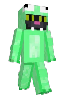 Funnles Minecraft avatar full body