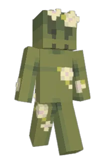 Funny_here Minecraft avatar full body