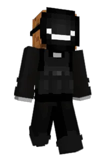 Funnyblocks Minecraft avatar full body