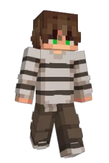 Funnysage2978 Minecraft avatar full body