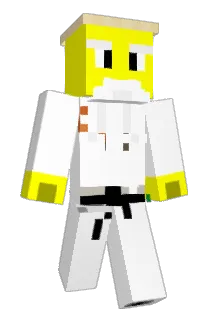 FuriousTacoz Minecraft avatar full body