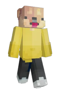 Furyous10 Minecraft avatar full body