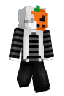 Fxl1x Minecraft avatar full body
