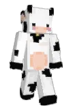 Fxnals Minecraft avatar full body