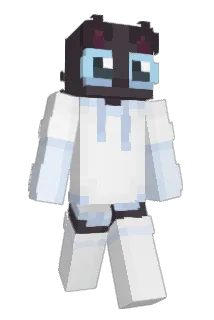 Fxrce Minecraft avatar full body