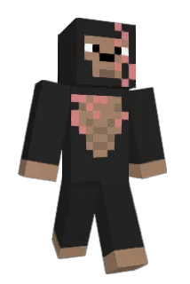 Fxxever Minecraft avatar full body