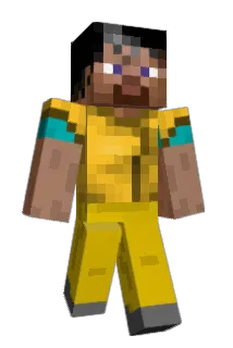 FybPlayer Minecraft avatar full body