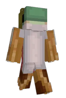 Fyshless Minecraft avatar full body