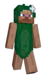 Custom render preview
