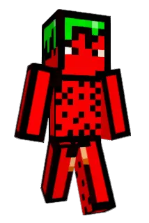 G0chu1 Minecraft avatar full body