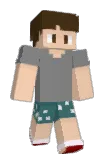G1_kim Minecraft avatar full body