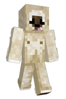 G1bbn Minecraft avatar full body