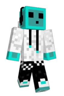 G26709 Minecraft avatar full body
