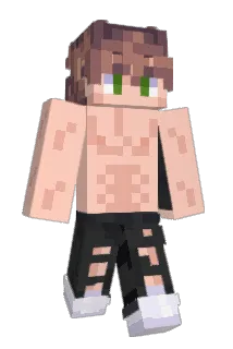 GAMES4LIFE__ Minecraft avatar full body