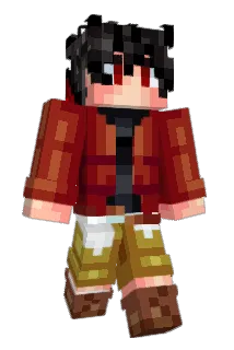 GASSETTEX Minecraft avatar full body