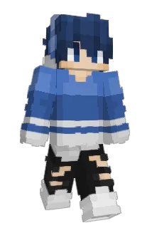 GASTGWON Minecraft avatar full body