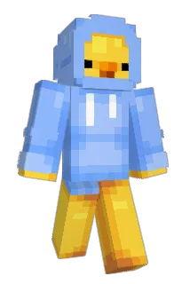 GCOM246 Minecraft avatar full body