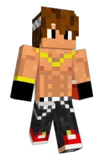 GCecon Minecraft avatar full body