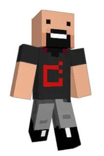 GER1753 Minecraft avatar full body