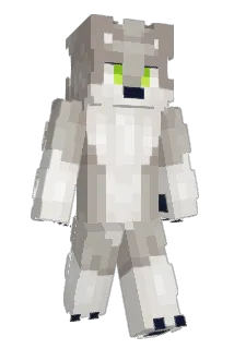 GERAX175 Minecraft avatar full body