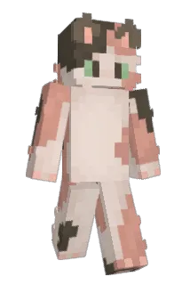 GGONG333 Minecraft avatar full body