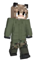 Custom render preview