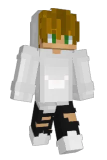 GL_TAKO Minecraft avatar full body