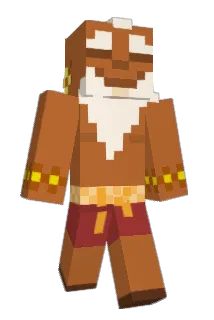 GNAFR Minecraft avatar full body