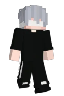 GOZITA25 Minecraft avatar full body