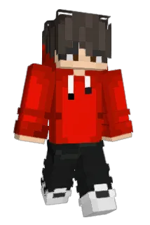 GRAM0011 Minecraft avatar full body