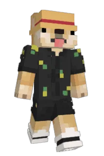GRINCHIER Minecraft avatar full body
