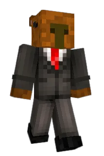 GWB4114 Minecraft avatar full body