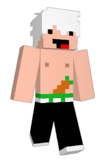 GWygw Minecraft avatar full body