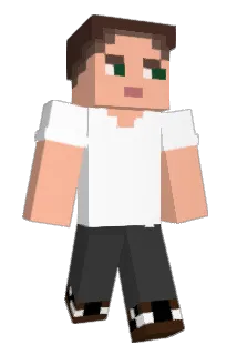 GXFA008 Minecraft avatar full body
