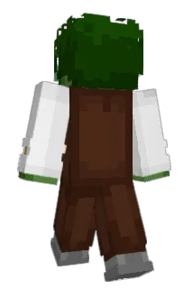 G_55 Minecraft avatar full body