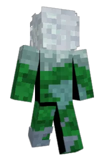 GameOrShame Minecraft avatar full body