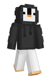 Gamer17111111 Minecraft avatar full body
