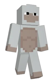 GamingTime_A Minecraft avatar full body