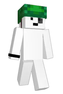 GandalfJames Minecraft avatar full body