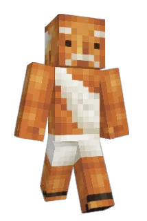 Gandhi_is_sick Minecraft avatar full body