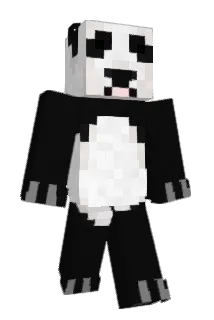GarbageDay_ Minecraft avatar full body