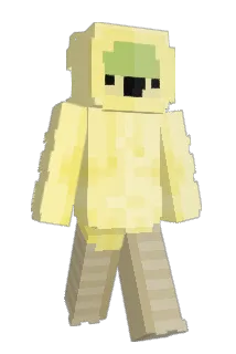 Garfield897 Minecraft avatar full body