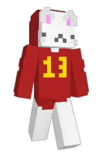 Gatinho13 Minecraft avatar full body