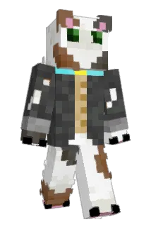 Gatopro106 Minecraft avatar full body