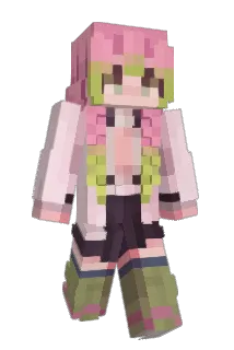 Gatorboy224 Minecraft avatar full body