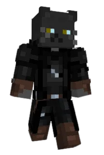 Gatto09 Minecraft avatar full body