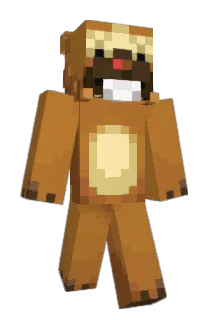 Gavindalf Minecraft avatar full body