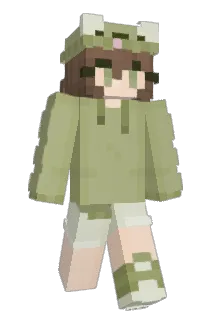 Gaymer9060 Minecraft avatar full body