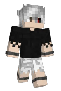 Gebahrten Minecraft avatar full body